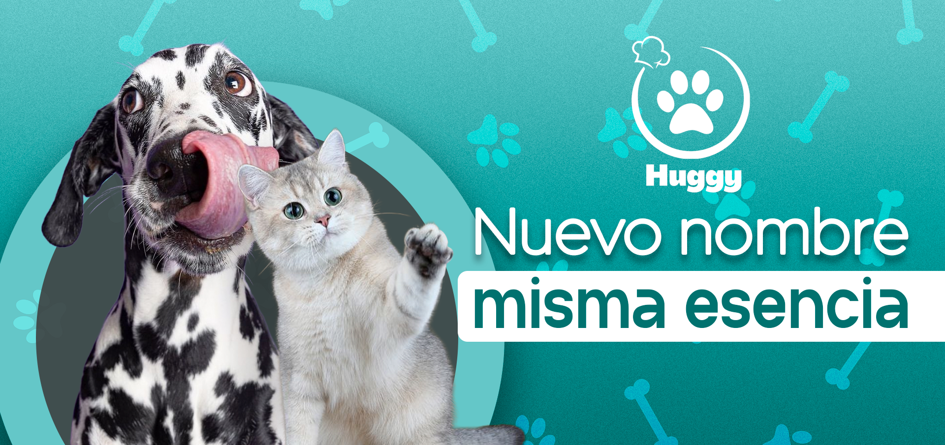 Huggy banner